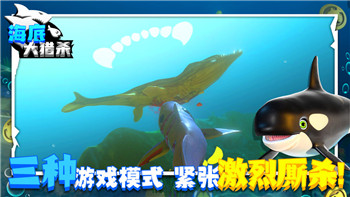 《巅峰骑士团》新挑战：如何应对强大的boss