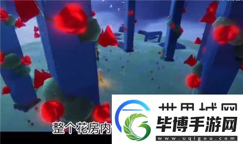 光遇小王子季任务四攻略流程