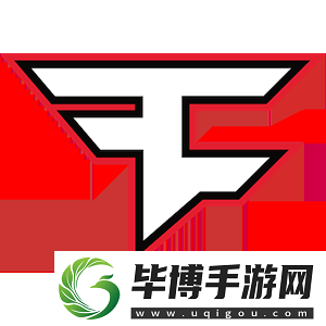 G2、Liquid及FURIA等受邀PGL布加勒斯特站